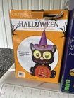 Preview image for Fiber optic cat & pumpkin 