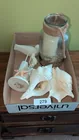  Preview image for Lot# 279 - Seashell Decor 