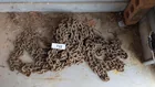  Preview image for Lot# 722 - Log Chain 