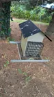 Preview image for Lot# 750 - Bird Feeder 