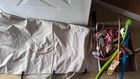  Preview image for Lot# 804 - Dog Lover's Box Lot 