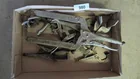  Preview image for Lot# 980 - Vise Grips in Assorted Sizes 