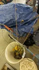  Preview image for Lot# 1024 - Ice Fishing Rods & Auger 