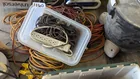  Preview image for Lot# 1160 - Electrical Cords & Power Str 