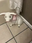  Preview image for pig 