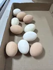 Preview image for Lot# 694 - Ceramic eggs 
