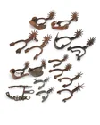  Preview image for A large group of Mexican spurs and a 