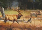  Preview image for Luke Frazier, (b. 1950), "Arizona 