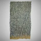 Preview image for Olga de Amaral, Cesta lunar 