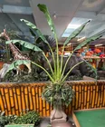  Preview image for Lot# 347 - Artificial Banana Tree Plant 