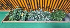  Preview image for Lot# 393 - 3 Potted Artificial Plants 