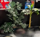  Preview image for Lot# 338 - 3 Potted Artificial Plants 
