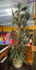  Preview image for Lot# 387 - Large Potted Tropical Artific 