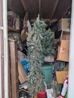  Preview image for Lot# 202 - Contents of Shed 