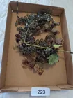  Preview image for Lot# 223 - Vintage Lucite Acrylic Grapes 