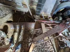  Preview image for Lot# 2024 - 6 ft. Grader Blade 