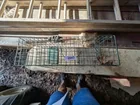  Preview image for Lot# 2043 - Small Live Trap 