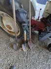  Preview image for Lot# 2063 - (3) Shovels 