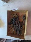  Preview image for Lot# 2194 - Assorted Pliers 