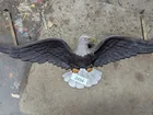 Preview image for Lot# 2454 - Eagle Decor - Metal? 