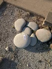 Preview image for Lot# 2893 - (6) Decorative Rocks 