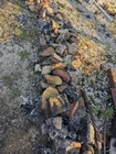  Preview image for Lot# 3696 - Large Quantity Landscape Roc 