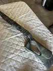  Preview image for Remington Model 1100 12 Ga. 