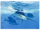 Preview image for Al Barnes 1934-2015 Sailfish Ocean 