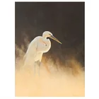  Preview image for Michael Budden b.1957 Wading Great Egret 