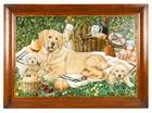  Preview image for British School Golden Retriever Picnic 