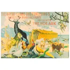  Preview image for Great Chang Fak Hong Noah's Ark 