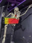 Preview image for Lot# 1943 - Hanging Skeleton Figure With 