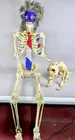  Preview image for Lot# 2053 - Skeleton and Dog Skeleton De 