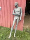  Preview image for Lot# 2363 - Full-Body Male Display Manne 