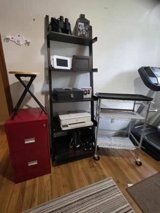 Lot# 110 - Ladder Shelf, HP Printer, Fil
