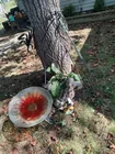  Preview image for Lot# 33 - Collection of Yard Art 