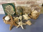  Preview image for Lot# 172 - BOX OF ASSORTED SEASHELLS & D 