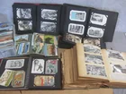 Preview image for PostCards 