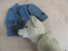  Preview image for in Old Blue Unifiorm w.. 
