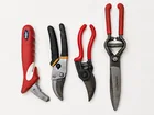  Preview image for Vintage Garden & Horticultural Cutting 