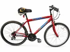  Preview image for Vintage Roadmaster Mt. Fury Mountain 