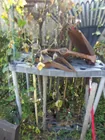  Preview image for GARDEN TOOLS 