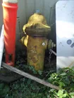  Preview image for WATER FIRE PLUG 