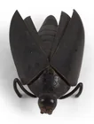  Preview image for JAPANESE BRONZE OKIMONO OF AN INSECT l: 