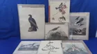  Preview image for Lot# 413 - 7 Wildlife Photos incl. Bald  
