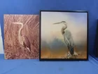  Preview image for Lot# 449 - 2 Lg Wildlife Photos of Stork 