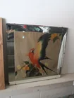  Preview image for Lot# 499 - Antique Stark Davis Parrot Pa 