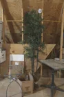 Preview image for Lot# 605a - Artificial Trees,Wooden Tabl 