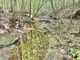 199+/- Acres Clay County WV Land