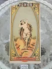  Preview image for Lot# 50 - Antique Venus Tobacco Caddy Cr 